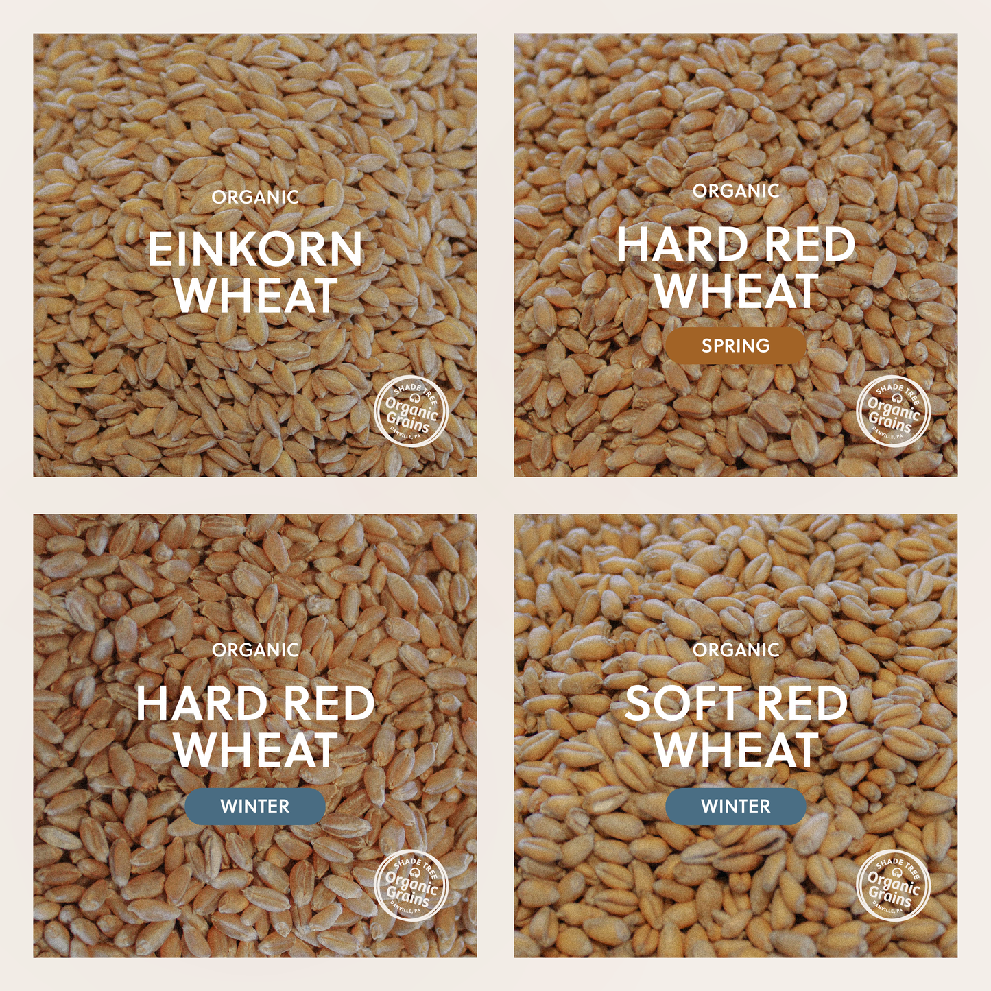 Organic Grain Variety Pack