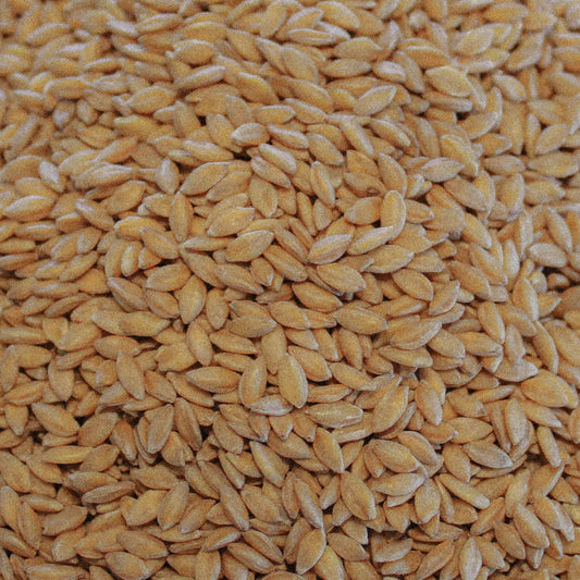 Organic Einkorn Wheat