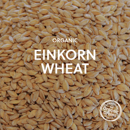 Organic Einkorn Wheat
